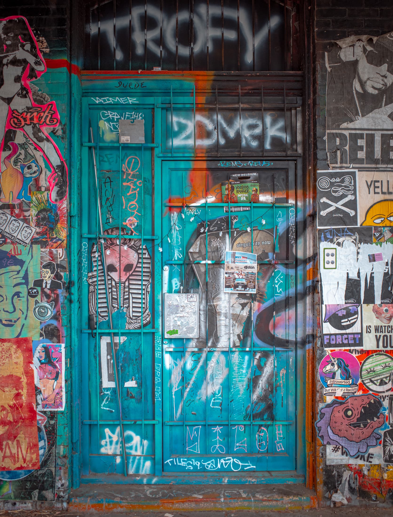 Not So Much a Door as a Canvas