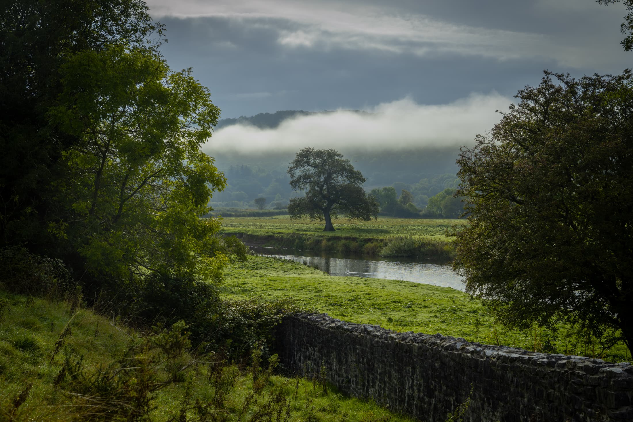 Misty Valley Morning