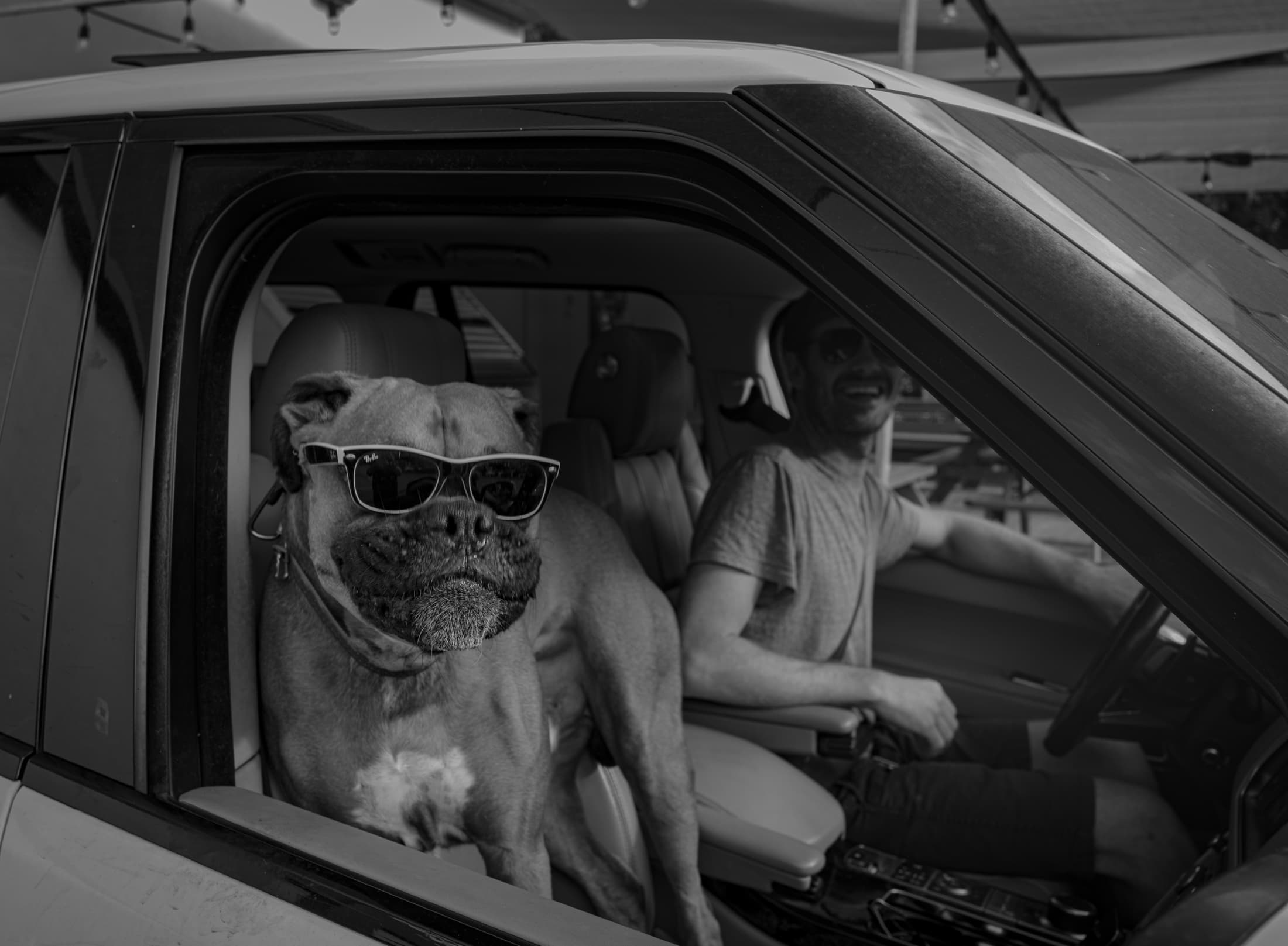 People and Animals