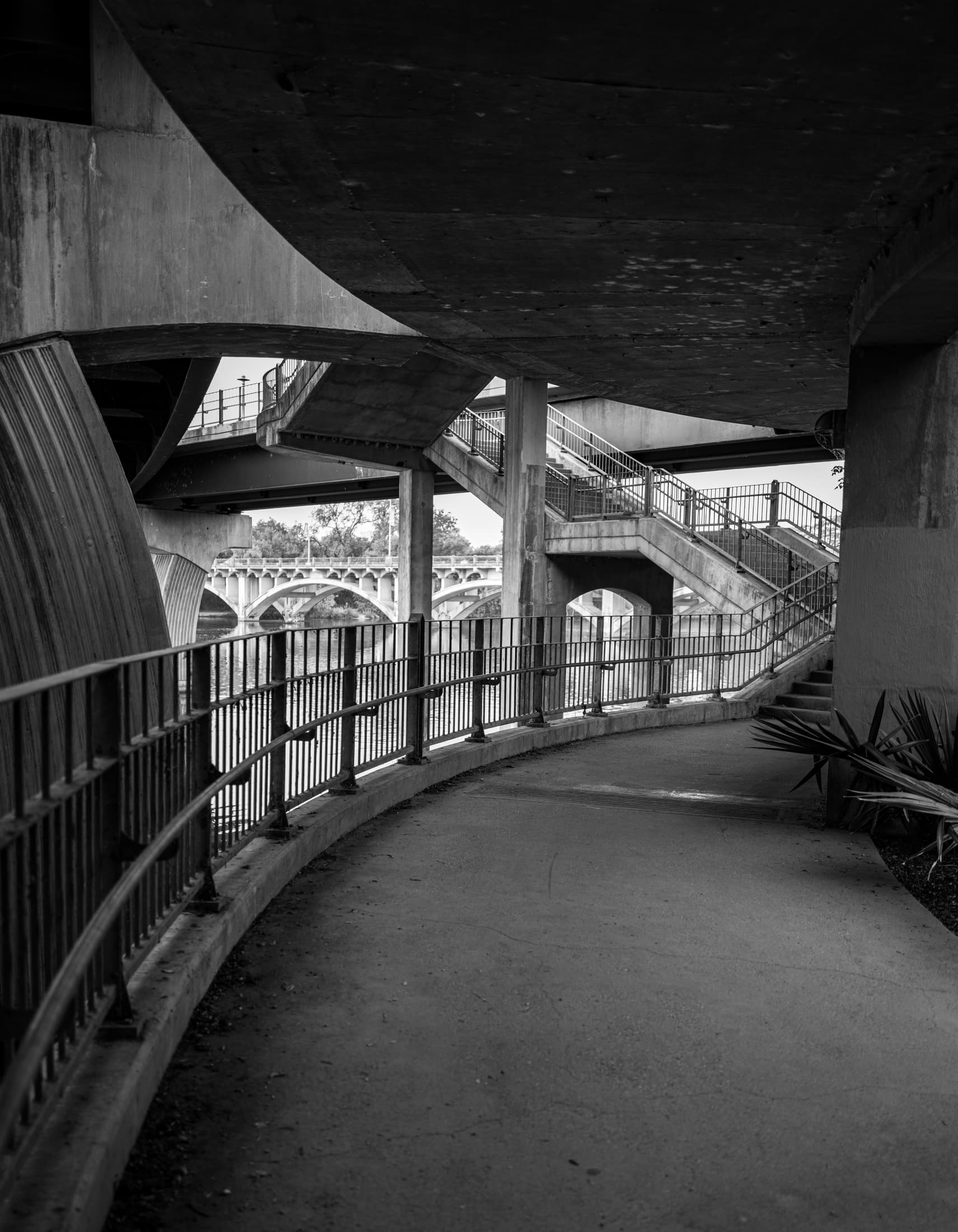 Tangled Walkway